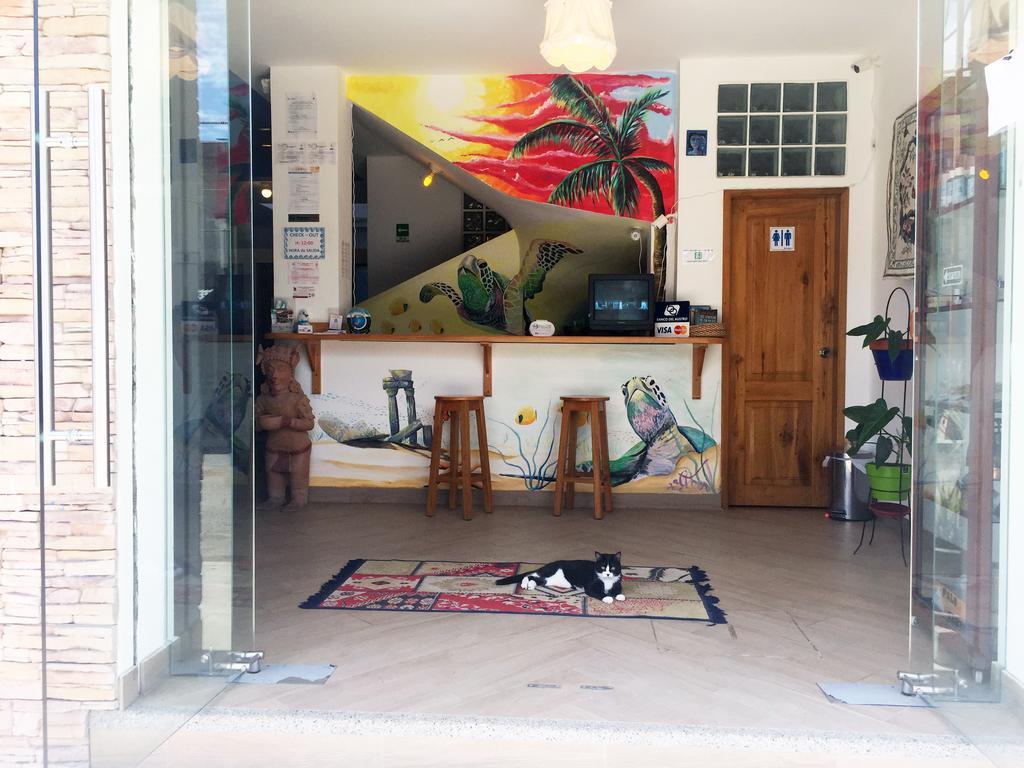 Hostal Yaku Montañita エクステリア 写真
